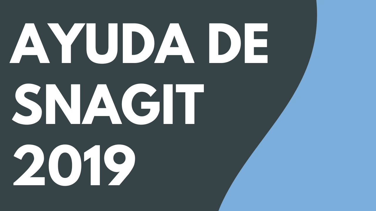 PDF de Ayuda de Snagit 2019