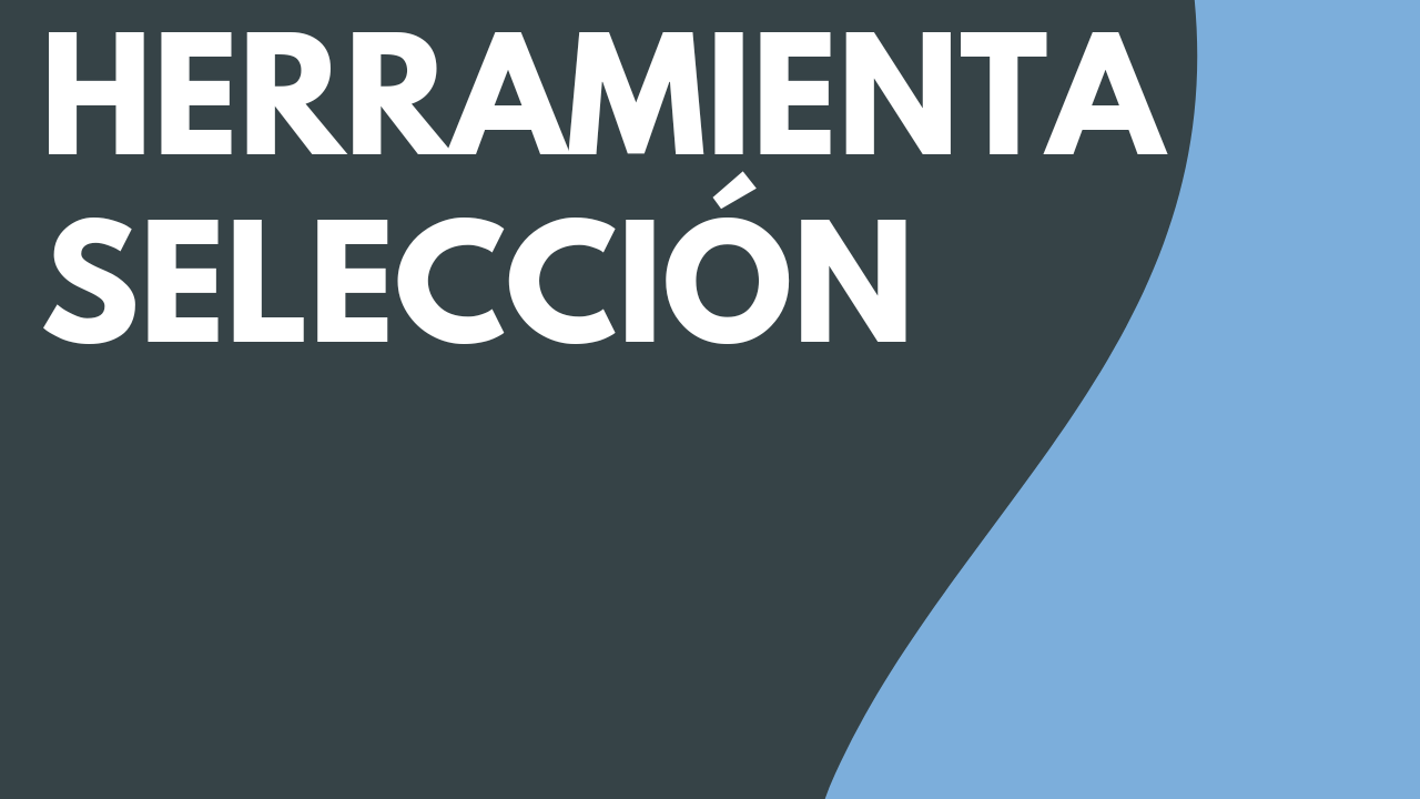 Herramienta Selección