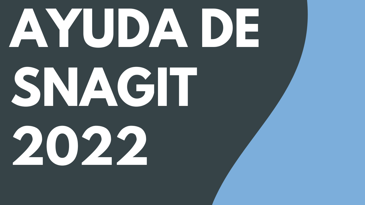 PDF de Ayuda de Snagit 2022