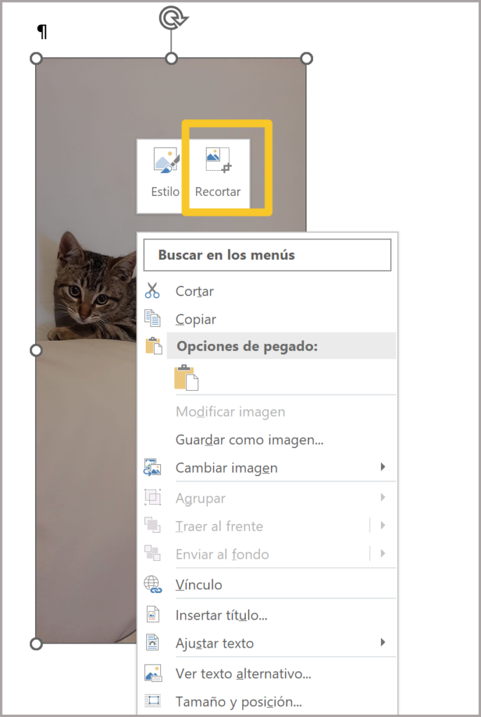 Cómo recortar una imagen en Word