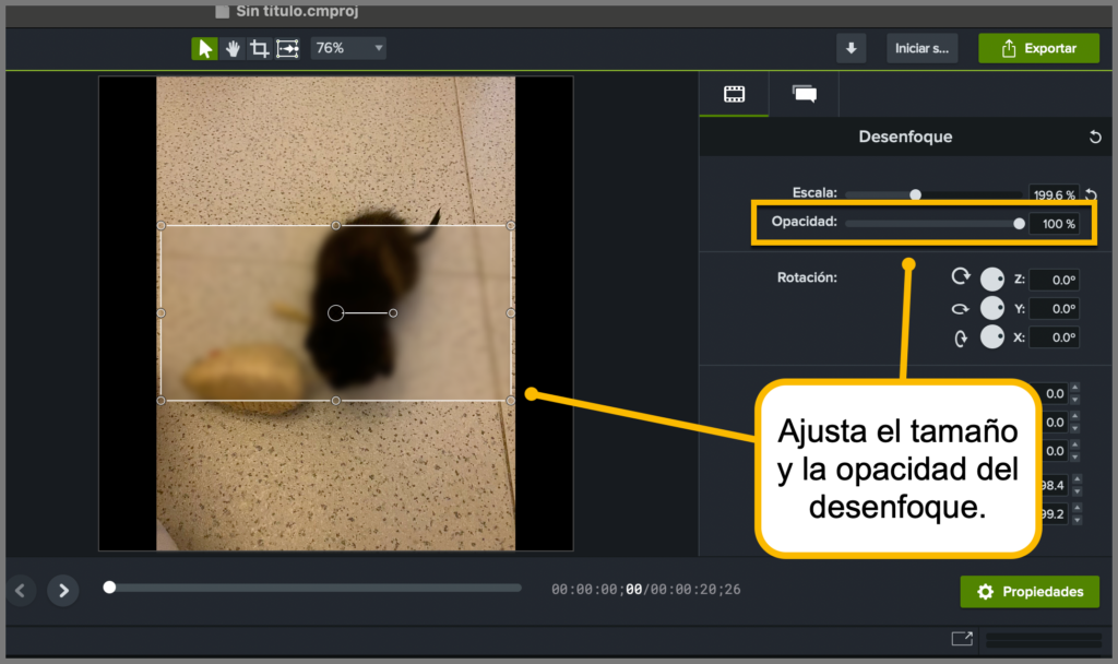 Cómo desenfocar un vídeo