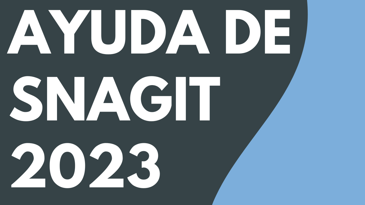 PDF de Ayuda de Snagit 2023