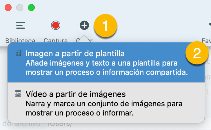 ¿Como hacer un meme con Snagit?