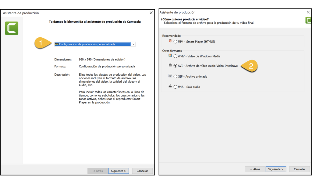 Comprimir videos y opciones de codification AVI en Windows con Camtasia