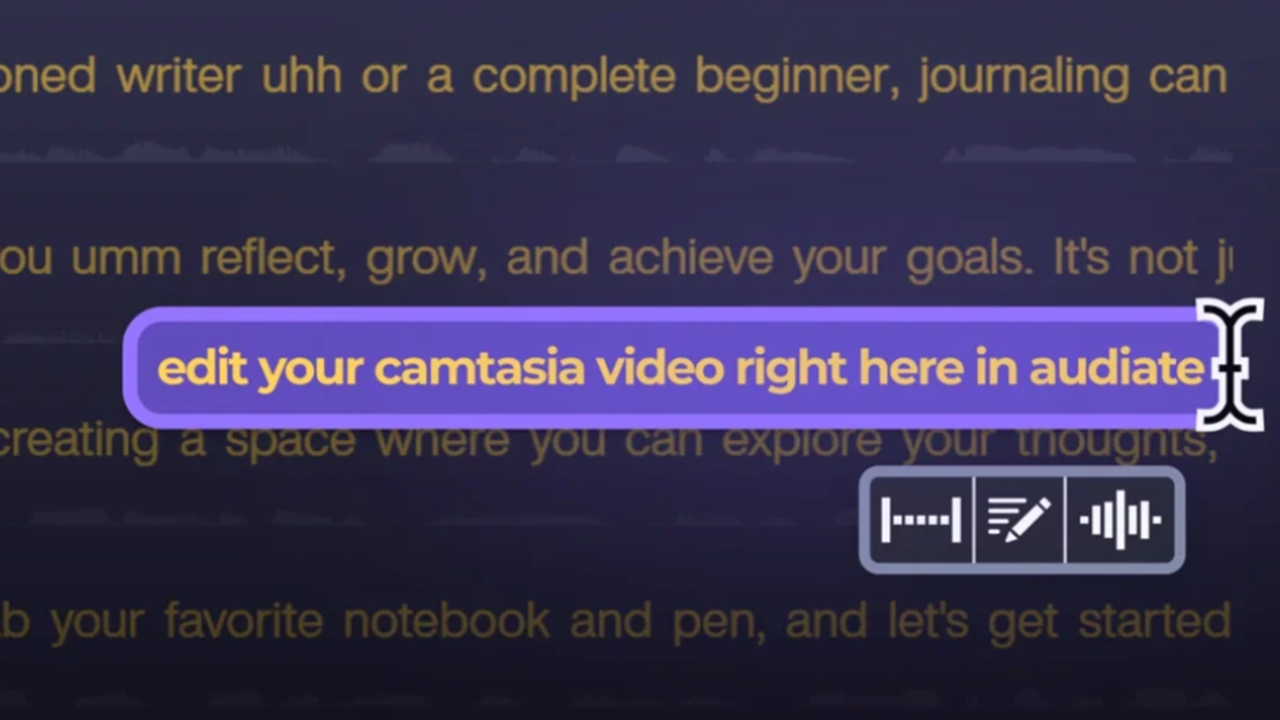 Editar la transcripción